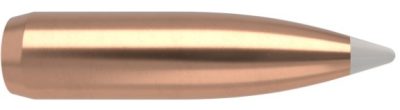 .366 Nosler Geschosse Spitzer AccuBond 250 grain 50 Stück