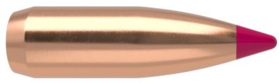 .204 Nosler Geschosse Bleifrei Ballistic Tip 32 grain 100 Stück