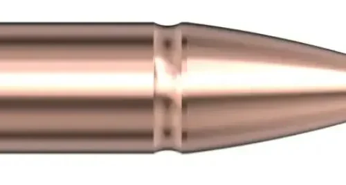 .224 Hornady Geschosse CX 70 grain 50 Stück