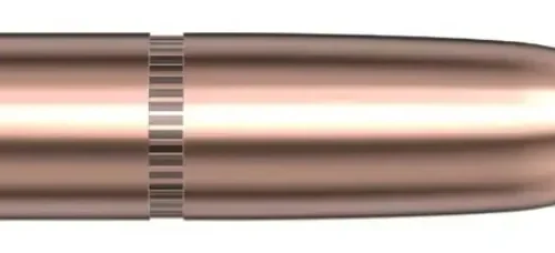 .366 Hornady Geschosse DGS 300 grain 50 Stück