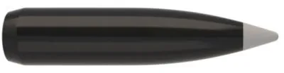 .257 Nosler Geschosse Silver Tip Ballistic 115 grain 50 Stück