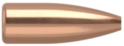 .172 Nosler Geschosse FBHP Varmageddon 20 grain 100 Stück