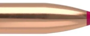 .243 Nosler Geschosse FB Tip Varmageddon 55 grain 100 Stück