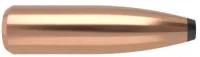 .308 Nosler Geschosse ProtPt Partition 180 grain 50 Stück