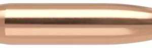 .308 Nosler Geschosse RN BallisticTip 220 grain 50 Stück