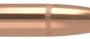.308 (.30-30) Nosler Geschosse RN Partition 170 grain 50 Stück