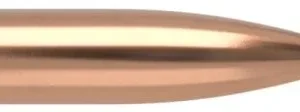 .358 Nosler Geschosse Spitzer Partition 225 grain 50 Stück